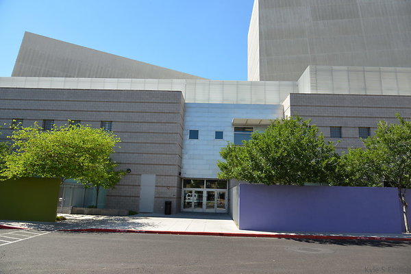 DSC 4338