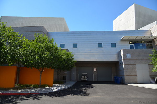 DSC 4331