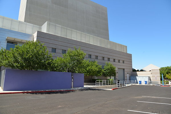 DSC 4339