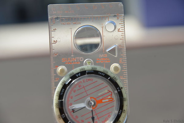 DSC 4334