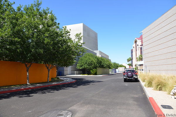 DSC 4321