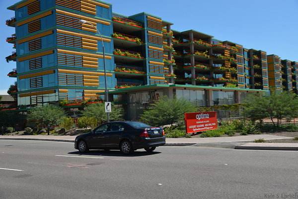 DSC 5165