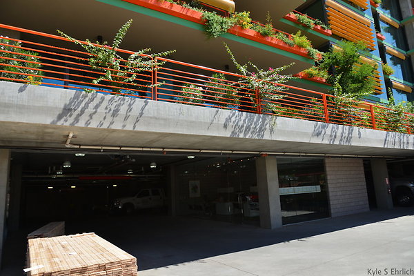 DSC 5221