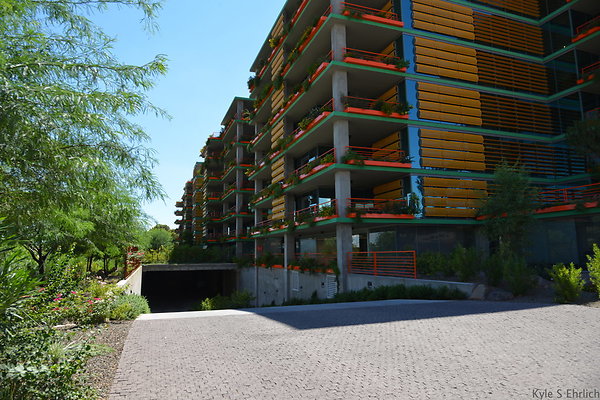 DSC 5278
