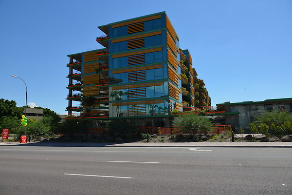 DSC 5176