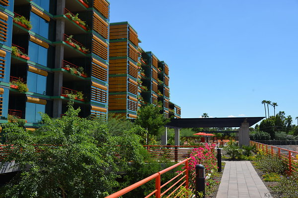 DSC 5190