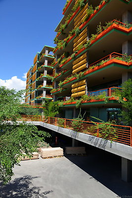 DSC 5251