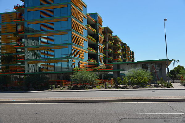 DSC 5135