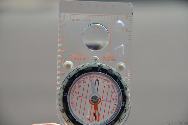 DSC 5291