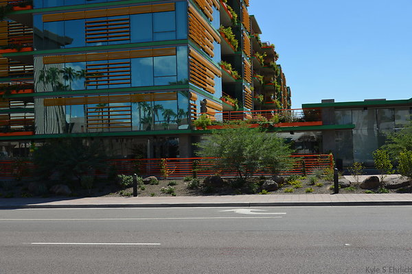 DSC 5177
