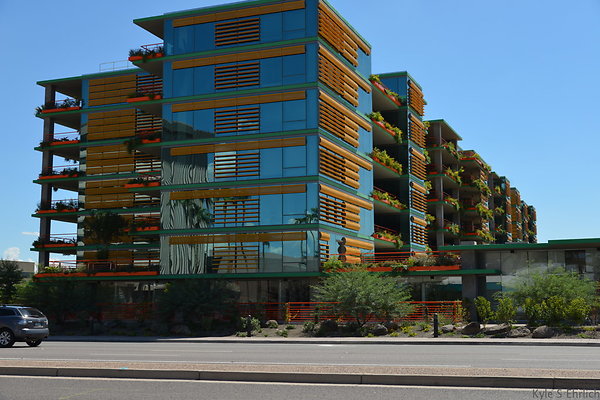 DSC 5131