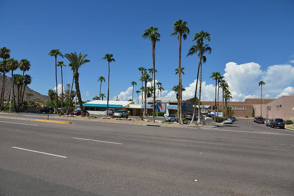 DSC 5290