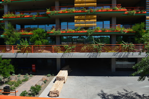 DSC 5239