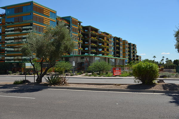 DSC 5147