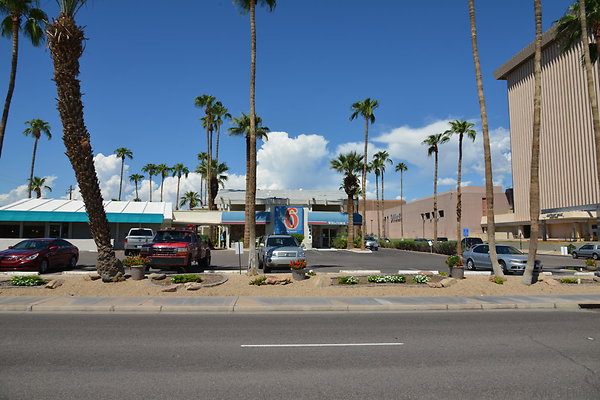 DSC 5310