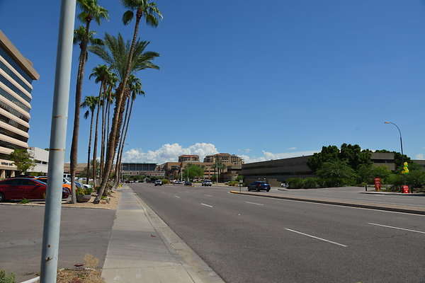 DSC 5126