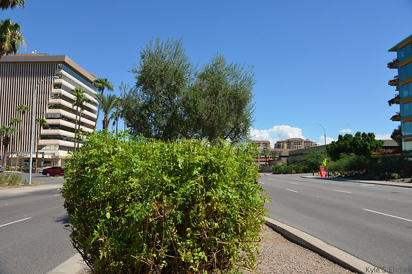 DSC 5160