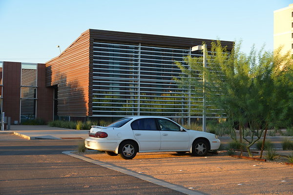 DSC 5571