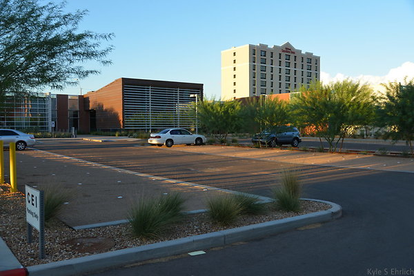 DSC 5565