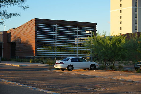 DSC 5566
