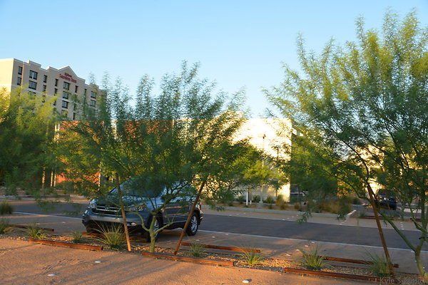 DSC 5575