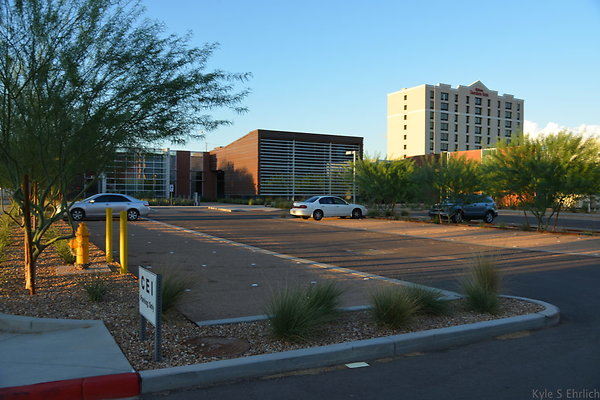 DSC 5568