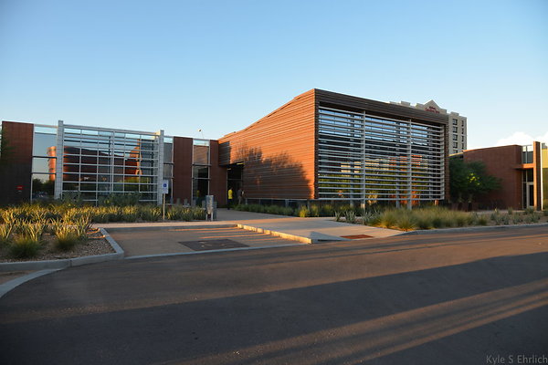 DSC 5584