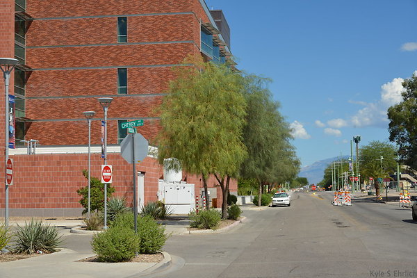 DSC 7771