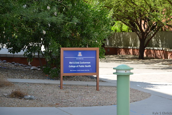 DSC 8742