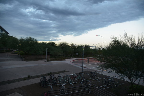 DSC 1018