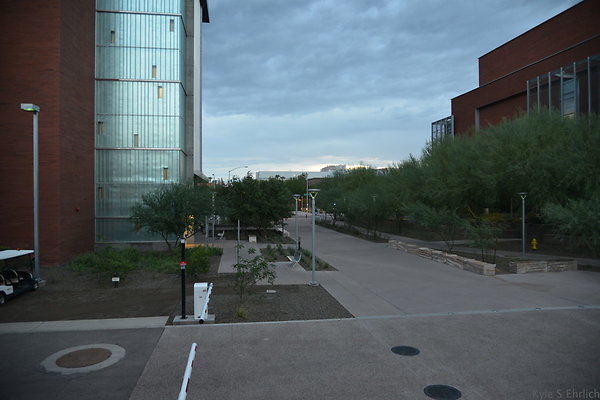 DSC 1016