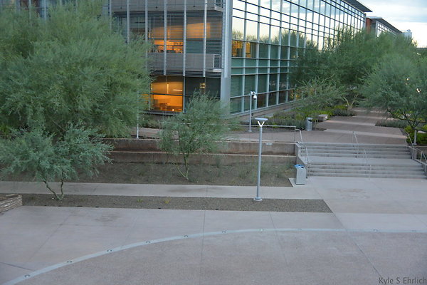 DSC 1021