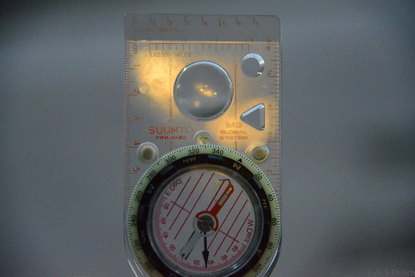 DSC 1019