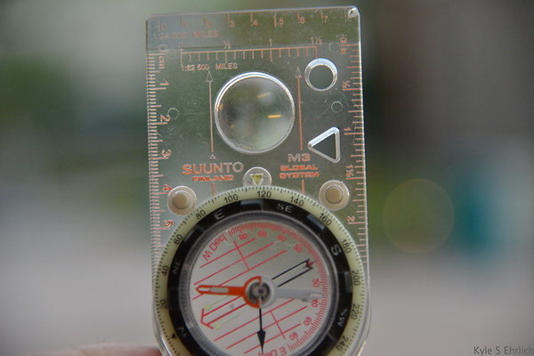 DSC 5845