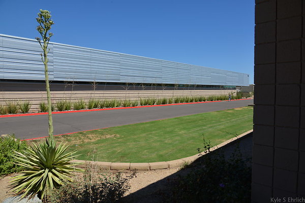 DSC 4093