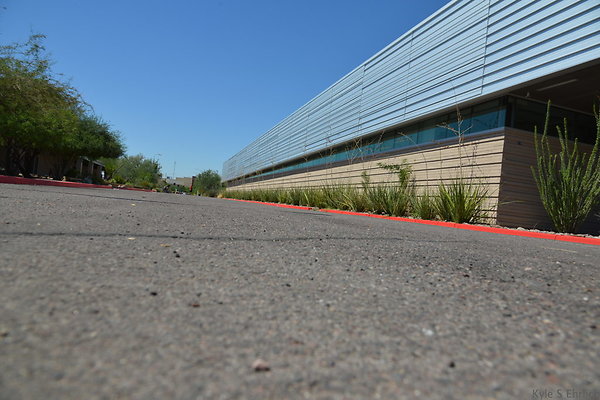 DSC 4116