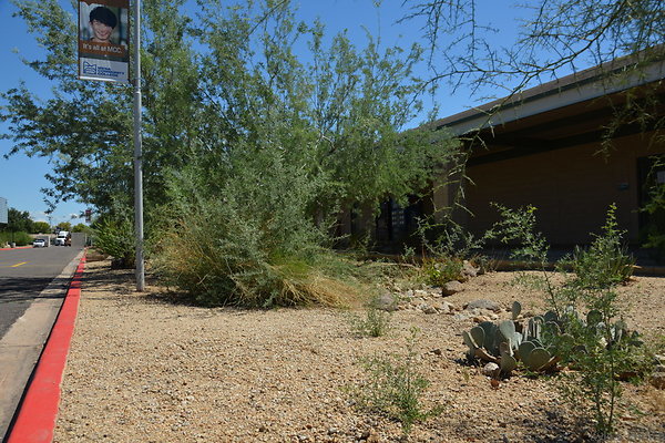 DSC 4087