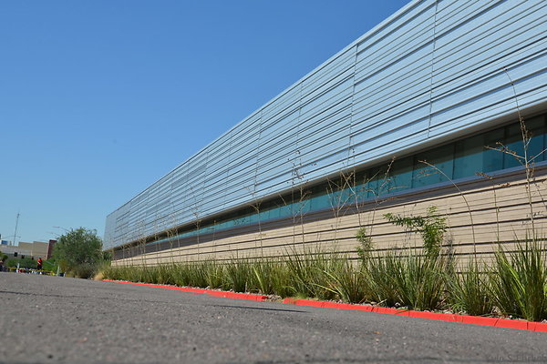 DSC 4115