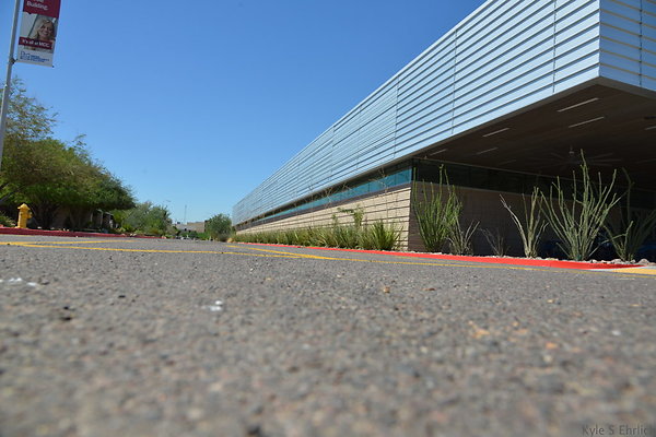DSC 4110