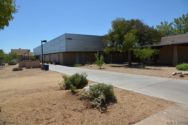 DSC 4119