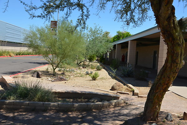 DSC 4078