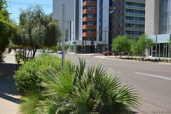 DSC 0368