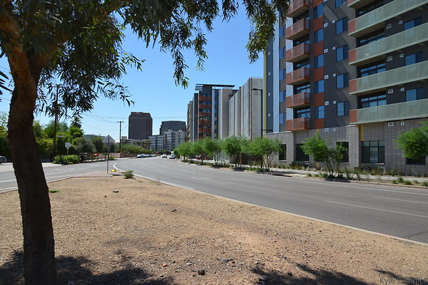 DSC 0343