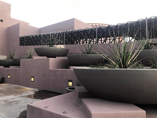 Nelson-Fine-Arts-Center-Phoenix-Antoine-Predock-ArchEyes-vegetation