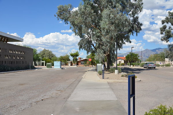 DSC 7669