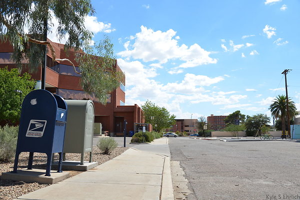 DSC 7684