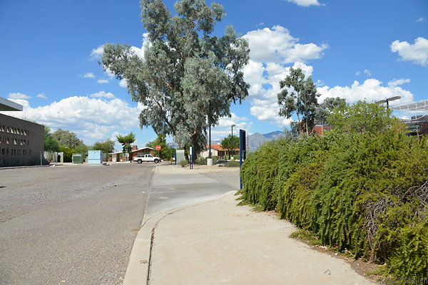 DSC 7663