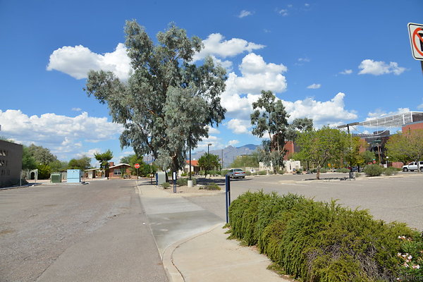 DSC 7719