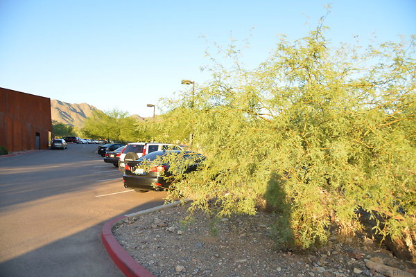 DSC 1051