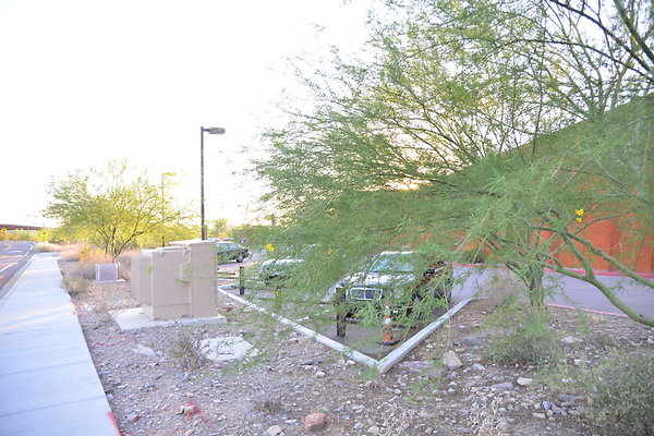 DSC 1186